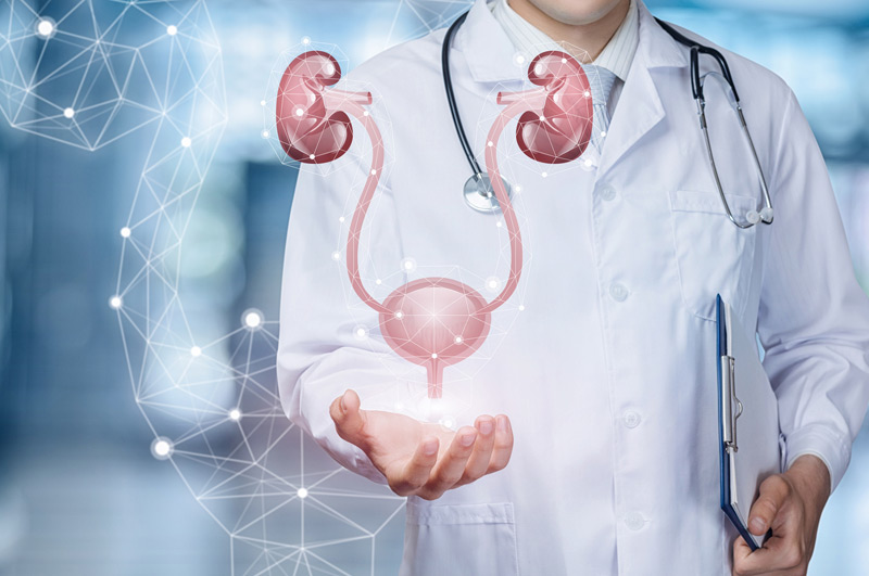 Digital-illustration-of-urinary-system-affected-by-bladder-diverticulum