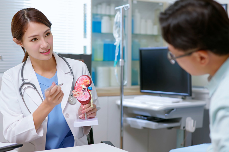Doctor-explaining-urinary-incontinence-treatment-with-model