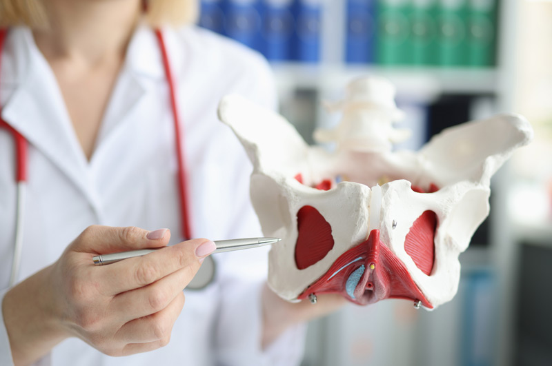Doctor-pointing-to-pelvic-region-treated-by-minimally-invasive-sacrocolpopexy